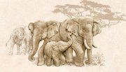 Настенная декоративная плитка Сафари Safari слоны 230x400мм