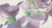 Настенное декоративное панно (2) Colour Violet Bloom цветы 593x327мм