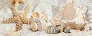 Настенная декоративная плитка Цализа Беж Mare (3) 201x505мм