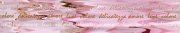 Бордюр Букет розовый 75x400мм (Арт.05-01-1-76-03-41-661-0)