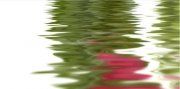 Настенное декоративное панно (5) Фреш Тюльпаны 250x500мм