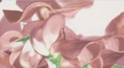 Настенное декоративное панно (3) Colour Carmine Bloom Цветы 593x327мм