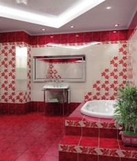 Магия-Мрия бордовый